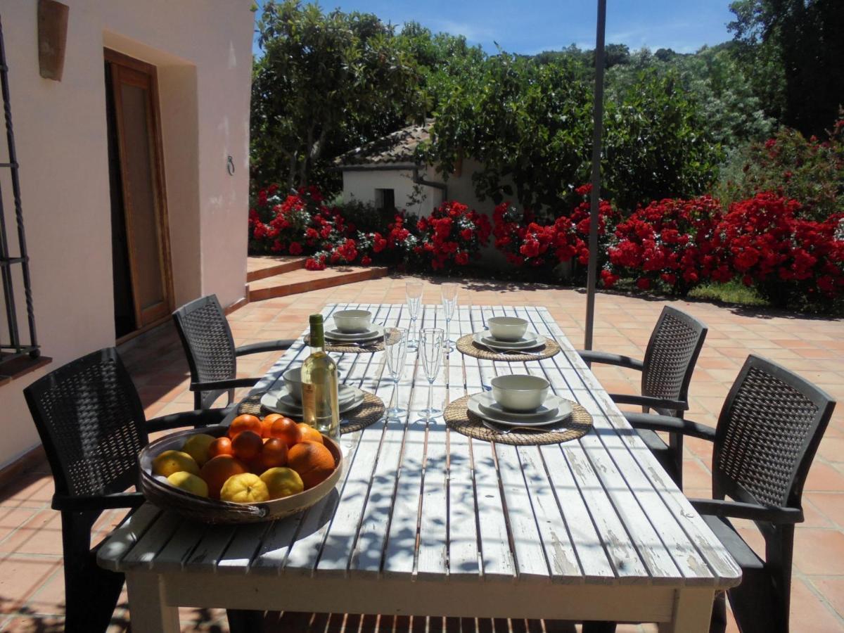 Maison d'hôtes Betania à Grazalema Extérieur photo