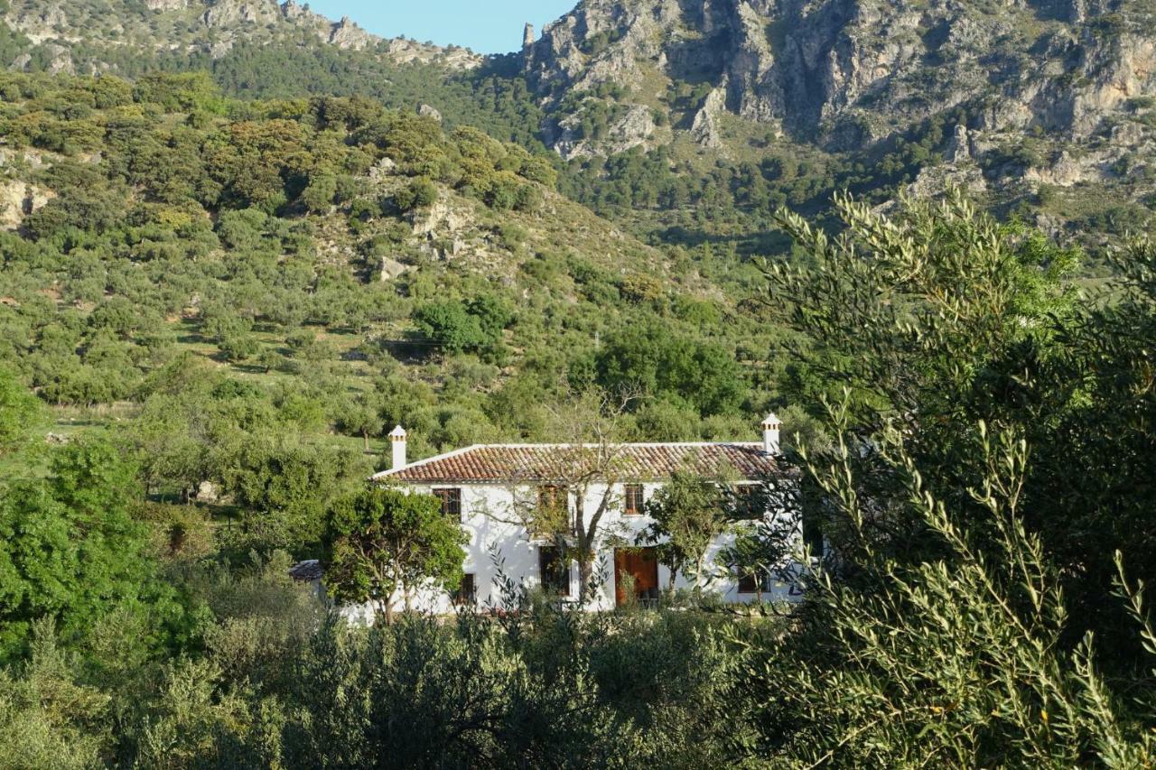 Maison d'hôtes Betania à Grazalema Extérieur photo